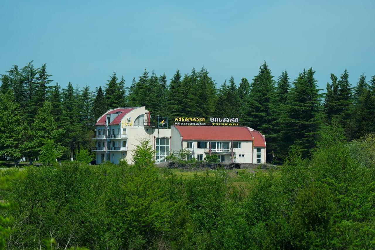 Hotel Tsiskari Ianet'i Extérieur photo